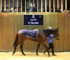 Durance Heads Arqana At €750,000, FRA 6 12 2020