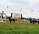 Rajesh Narredu –trained ANIMAL QUEEN (No 01), Ridden by S. Hussain, wins The December Plate (1200m), 3 12 2020, Bangalore India