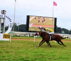 S. Padmanabhan -trained SPORTING MEMORIES (No 05), Ridden by P. Trevor, wins The World Soil Day Plate (1600m), 3 12 2020, Bangalore India
