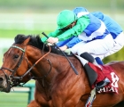 Triple G1 Prix de la Foret winner One Master (GB) (Fastnet Rock {Aus}) has been scratched from Saturday’s GI Breeders’ Cup Mile at Keeneland