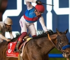 country-grammer-gives-frankie-dettori-his-fourth-dubai-world-cup-meydan-26-03-2022