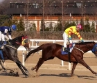 determination-sports-chosun-kra