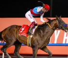 frankie-and-country-grammer-wins-dwc-2022-meydan-26-03-2022