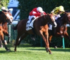 MALAVATH in the Critérium de Maisons-Laffitte (Gr.2) FRA 15 03 2022