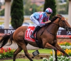 Marabi new zeland sprinter 24-03-22