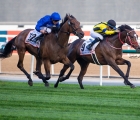 meydan-dubai-world-i-giapponesi-vincono-con-stay-foolish-in-g2-26-03-2022