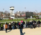 premio-altieri-saen-vince-con-in-sella-luca-maniezzi-milano-san-siro-20-03-2022