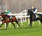 19/3/2022 Premio Calvairate. LORD SAKAY (Gabriele Malune). VENTO D'ESTATE (Dario Vargiu).Foto Perrucci.