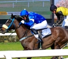 skins-rock-l-matusky-prevale-su-mauricius-sul-traguardo-del-premio-celeste-citterio-20-03-2022-milano-san-siro