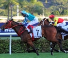 teetan-eyes-hong-kong-derby-glory-with-romantic-warrior-20-03-2022