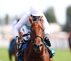 Sumbe Alec Head (Gr2)  Le nouveau printemps de Friendly Soul, 18 agosto 24 deauville Fra