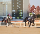 gwacheon-mayor_s-trophy-winner-raon-giant-is-in-action-in-the-concluding-race-of-the-year-at-seoul-kra