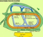 nakayama racecourse