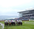 the-final-straight-leoprdstown-ire