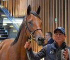 €95,000 for a half-sister to GRAIGNES, Arqana 21 10 2021