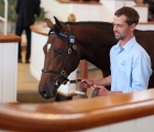 goffs-kingman-colt-to-juddmonte