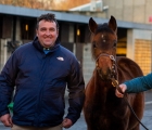 another-six-figure-walk-in-the-park-foal-tops-day-3-of-goffs-december-09-12-2022