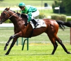 epic-poet-lot-18-prix-de-croissy-paris-longchamp-for-arqana