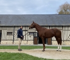 Haras de Beaumont’s father and daughter owners Kamel, 07 12 2022