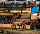 Johnny Murtagh’s Fox Covert Stables (Lot 1222) sold to Dermot Farrington who went to €970,000