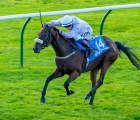 navan-racecourse-for-decembre-2022