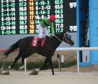 raon-the-spurt-dominates-gyeongnam-cup_-kra-27-11-2022