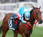 romantic-warrior-stuns-at-longines-hkir-golden-sixty-is-defeated