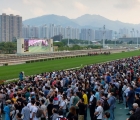 sha-tin-vase-final-furlong-10-12-2022