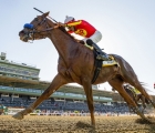  Pegasus World Cup 29 01 2023 - Defunded