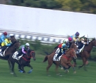 Hurricane Black-prima-apparizione-in-pista-ad-hong-kong