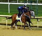 asmussen-breezes-epicenter-echo-zulu-at-churchill-usa-24-04-2022