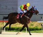 Eoma-Eoma-won-the-Busan-Ilbo-Sprint-1200M-KOR-G3-at-Busan-Racecourse-24-04-2022