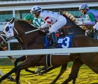 g2-princess-rooney-highlights-spring-stakes-schedule-gulfstream-park-usa-29-04-2022