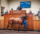 goffs-uk-breeze-up-top-price-lot-97-un-figlio-di-tasleet-showcasing