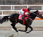 korea-cup-moonhak-chief-in-the-herald-business-trophy-_2000m-listed_-at-seoul-race-30-04-2022-kra