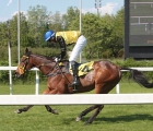 Notti Magiche vince l’edizione 2022 del Grande Steeple Chase di Milano all’Ippodromo Snai San Siro con Pavel Slozil in sella, 30 04 2022