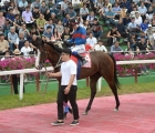 king-of-glory-kra-korea-busan-31-07-2021