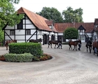 Brümmerhof Stud, ‘W’ family of Waldgeist GER 19 08 2022