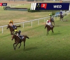 canter-di-salute-per-wed-a-dax-allenata-da-maurizio-guarnieri-12-08-2022