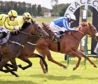 dubai-jemila-the-highest-priced-lots-in-the-dubai-breeze-up-uk