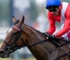 inspiral-and-frankie-dettori-took-the-group-1-honours-in-france-on-sunday-prix-le-marois-14-08-2022-deauville
