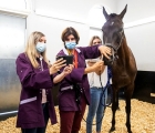 Médication et bien-être chez le cheval athlète, FRA CHANTILLY 18 07 2022
