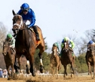 matareya-third-in-g1-test-stakes-saratoga-usa-06-08-2022