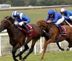modern-games-beaten-but-unbowed-in-g1-sussex-stakes-goodwood-uk-27-07-2022
