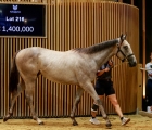 siyouni-filly-another-to-hit-the-million-euro-mark-arqana-15-08-2022