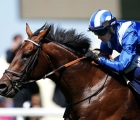 york-uk-baaeed-devastante-nelle-juddmonte-international-stakes-17-08-2022