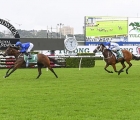 colette-chasing-further-g1-glory-in-memsie-paulele-in-good-order-ahead-of-g3-san-domenico-aus-30-08-2021