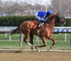 excellent-second-for-lake-avenue-in-g1-ballerina-handicap-usa-29-08-2021