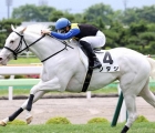 giappone-sodashi-torna-e-vince-il-sapporo-kinen-23-08-2021