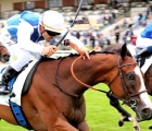 Sabato 21 agosto 2021, Hippodrome de Deauville-La Touques (Calvados). - Accakaba (FRA)